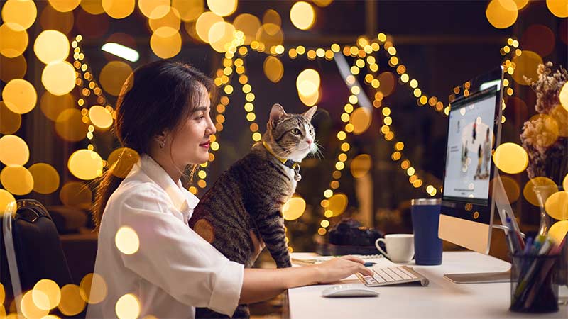 Woman with cat on her lap sitting at a desk looking at a computer surrounded by twinkly lights